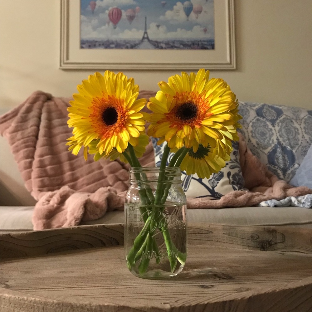 Meet your Posher, Skye